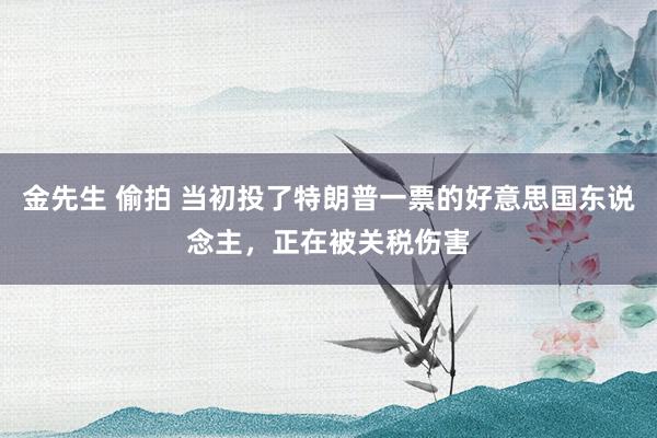 金先生 偷拍 当初投了特朗普一票的好意思国东说念主，正在被关税伤害