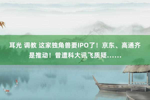 耳光 调教 这家独角兽要IPO了！京东、高通齐是推动！曾遭科大讯飞质疑……